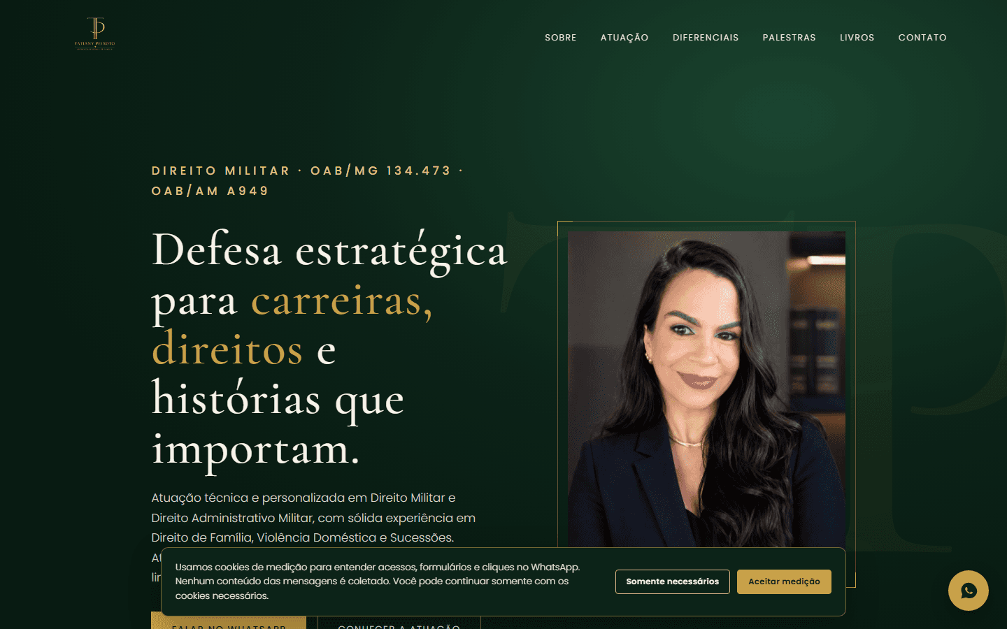 Tela real do sistema Agente de Marketing
